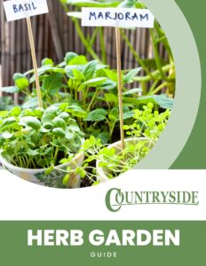 Herb Garden
